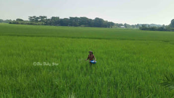 পটুয়াখালীতে ১০ বছরে কৃষিকাজ ছেড়েছে ৪০ হাজার পরিবার