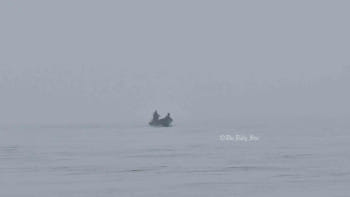 বগুড়ায় তাপমাত্রা ১০ ডিগ্রির নিচে, সব স্কুল বন্ধ