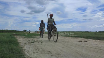 পদ্মার ডিক্রির চর: ‘ক্ষমতাবানদের’ দখলে যে চরের চাষাবাদ