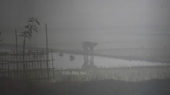 মৌসুমের সর্বনিম্ন তাপমাত্রা