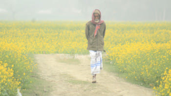 শৈত্যপ্রবাহ কাটবে, রাতের তাপমাত্রা সামান্য বাড়তে পারে