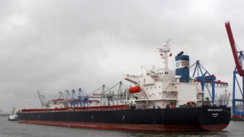 এমভি স্টার আইরিস। ফাইল ছবি: ভেসেলফাইন্ডার ডট কম/মাইকেল শিন্ডলার