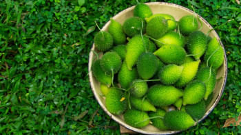 কাঁকরোল কাঁকরোল