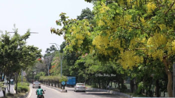 বাতাসে বিষ। প্রায় ৮২ শতাংশ এলাকা কংক্রিটের আচ্ছাদনে ঢেকে থাকা রাজধানী ঢাকার পুরোটাই যেন তাপীয় দ্বীপ। টানা কয়েক দশকের অপরিকল্পিত নগরায়ণে ধ্বংস হয়ে গেছে এ শহরের বৃক্ষরাজি। 