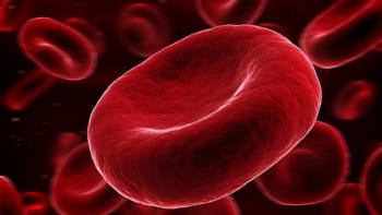 থ্যালাসেমিয়া