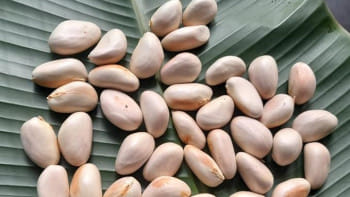 কাঁঠালের বিচির উপকারিতা