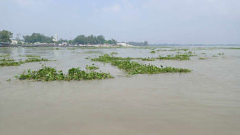 সিরাজগঞ্জে দ্রুত বাড়ছে যমুনার পানি