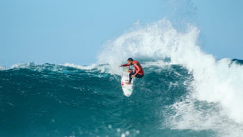 সার্ফিং