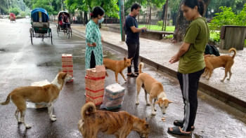 কুকুর কুকুর