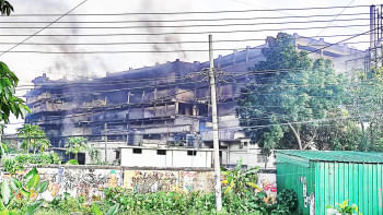 নাশকতা ও সন্ত্রাস বিমা, বিমা, শেখ হাসিনা, গণঅভ্যুত্থান,