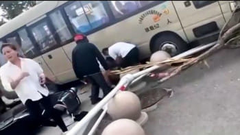 চীনে নিয়ন্ত্রণ হারানো স্কুলবাসের ধাক্কায় ১১ শিশু-অভিভাবক নিহত হয়েছে। ছবি: স্ক্রিণশট
