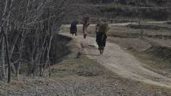 পাকিস্তানের খাইবার পাখতুনখোয়া প্রদেশের কুররাম জেলায় দীর্ঘদিন ধরে চলছে শিয়া-সুন্নি সংঘাত। ফাইল ছবি: ডয়চে ভেলে/ফাতিমা নাজিশ