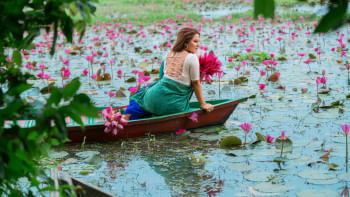 শাপলা বিল,