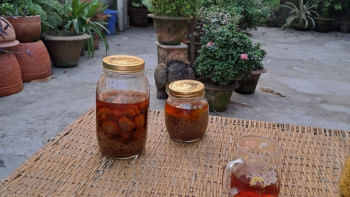 জলাপাইয়ের আচার জলাপাইয়ের আচার
