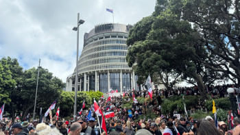 আদিবাসী মাওরিদের অধিকার খর্ব করবে এমন একটি বিলের প্রতিবাদে নিউজিল্যান্ডের পার্লামেন্টের সামনে হাজারো মানুষ জমায়েত হয়। ছবি: রয়টার্স