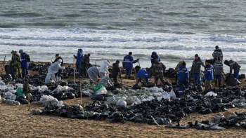 স্বেচ্ছাসেবকরা সমুদ্রতীর থেকে তেল সরানোর কাজ করছেন। ফাইল ছবি: রয়টার্স