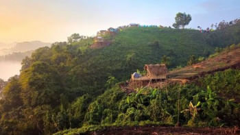 বান্দরবানের মিরিঞ্জা ভ্যালি