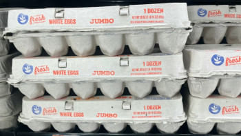 মার্কিন মুদি দোকানে উচ্চ মূল্যে বিক্রি হচ্ছে মুরগির ডিম। ছবি: এএফপি