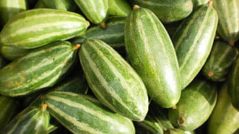 পটলের উপকারিতা পটলের উপকারিতা
