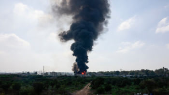 Eshakni quchoqlang Klubdan yalangoch Stella