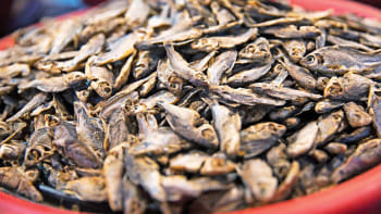 শুঁটকি খাওয়া কি ক্ষতিকর?