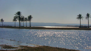 ইউফ্রেতিস (ফোরাত) নদের সেই সুজলা সুফলা রূপ আজ আর নেই। ছবি: উইকিমিডিয়া কমন্স/২০০৬