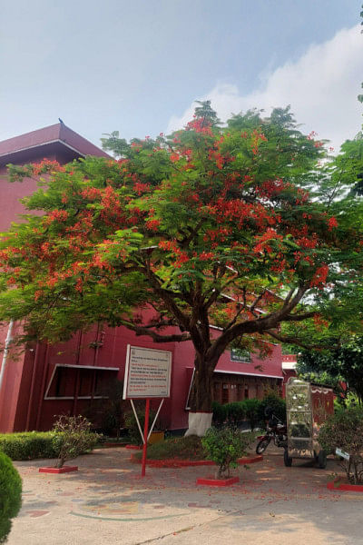 রাজশাহী কলেজ রাজশাহী কলেজ