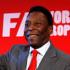Pele Pele