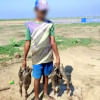 হাকালুকি হাওরে চলছে পরিযায়ী পাখি হত্যা, দেখার কেউ নেই পরিযায়ী পাখি হত্যা