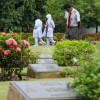 ওয়ার সিমেট্রি ওয়ার সিমেট্রি