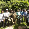 অজগর অজগর