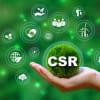 করপোরেট সোশ্যাল রেসপন্সসিবিলিট, সিএসআর, ব্যাংক, বাংলাদেশ ব্যাংক, ডাচ-বাংলা ব্যাংক, ইসলামী ব্যাংক বাংলাদেশ,