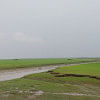 ভোলা ভোলা
