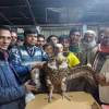 ঈগল ভেবে শকুন নিয়ে নির্বাচনী প্রচারণা ঈগল ভেবে শকুন নিয়ে নির্বাচনী প্রচারণা