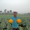 রঙিন ফুলকপি রঙিন ফুলকপি
