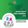 কর্মসংস্থান ও শিক্ষার বাইরে দেশের ৬২ শতাংশ তরুণী এনইইটি, নিষ্ক্রিয় জনগোষ্ঠী, বাংলাদেশ পরিসংখ্যান ব্যুরো, বিবিএস,