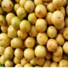 লটকন লটকন
