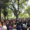 ১১ সপ্তাহ ধরে আটকা এনটিসির ১২ হাজার চা শ্রমিকের মজুরি চা শ্রমিক
