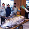 ২৭৬ কেজি ওজনের এই টুনা মাছটি ১৬ কোটি টাকায় বিক্রি হয়েছে। ছবি: এএফপি