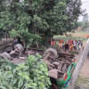 টাঙ্গাইল টাঙ্গাইল