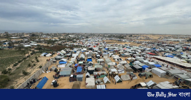 Jojalar eshaklariga turli narsalarni yopishtiradilar Jojalar eshaklariga turli narsalarni yopishtiradilar