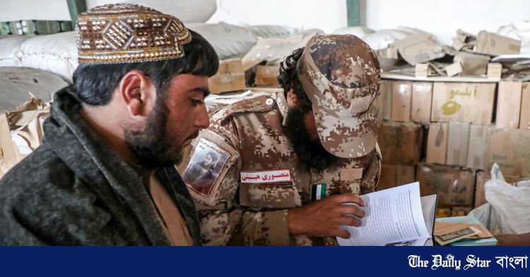 Keksa ayollar mushuklarining fotosuratlari