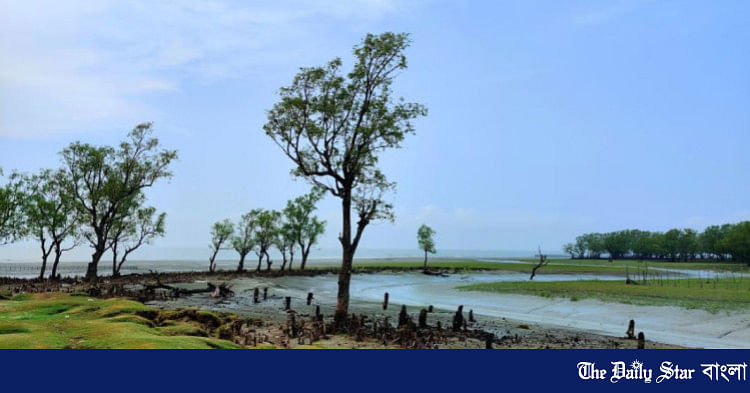 ছবি: ইন্তিসাব শাহরিয়ার