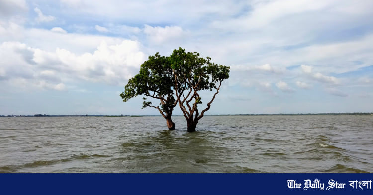 ছবি: মাহমুদ নেওয়াজ জয়