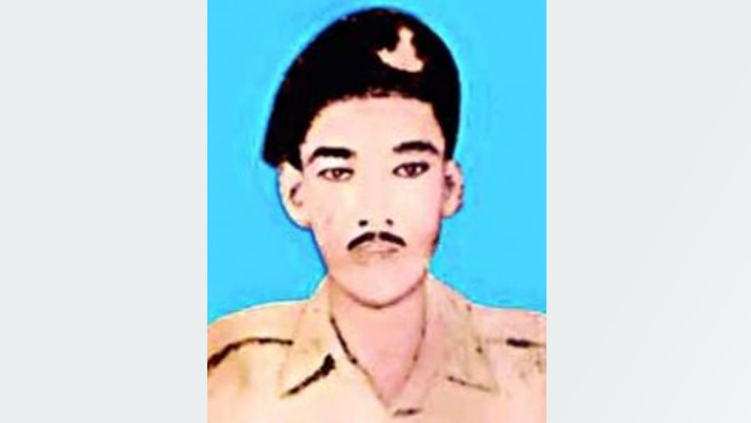 Ular kochada bir-birlarini silkitib, yalaydilar