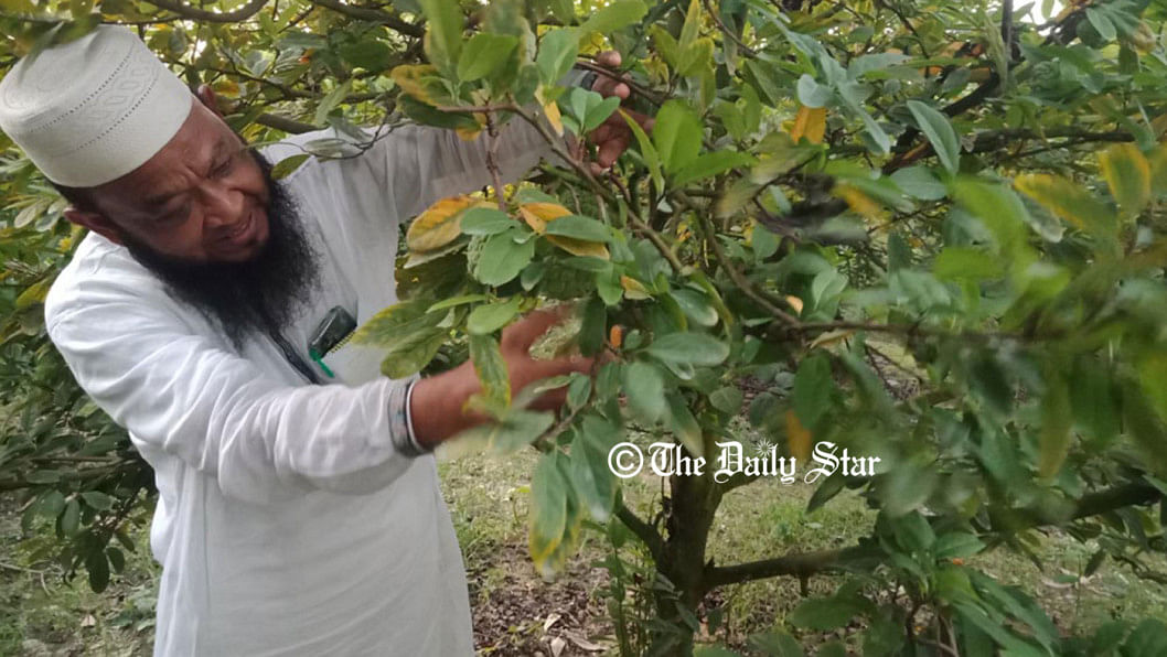 প্রচলিত কৃষির ধারণা পাল্টে দিয়েছেন যে কৃষক প্রচলিত কৃষির ধারণা
