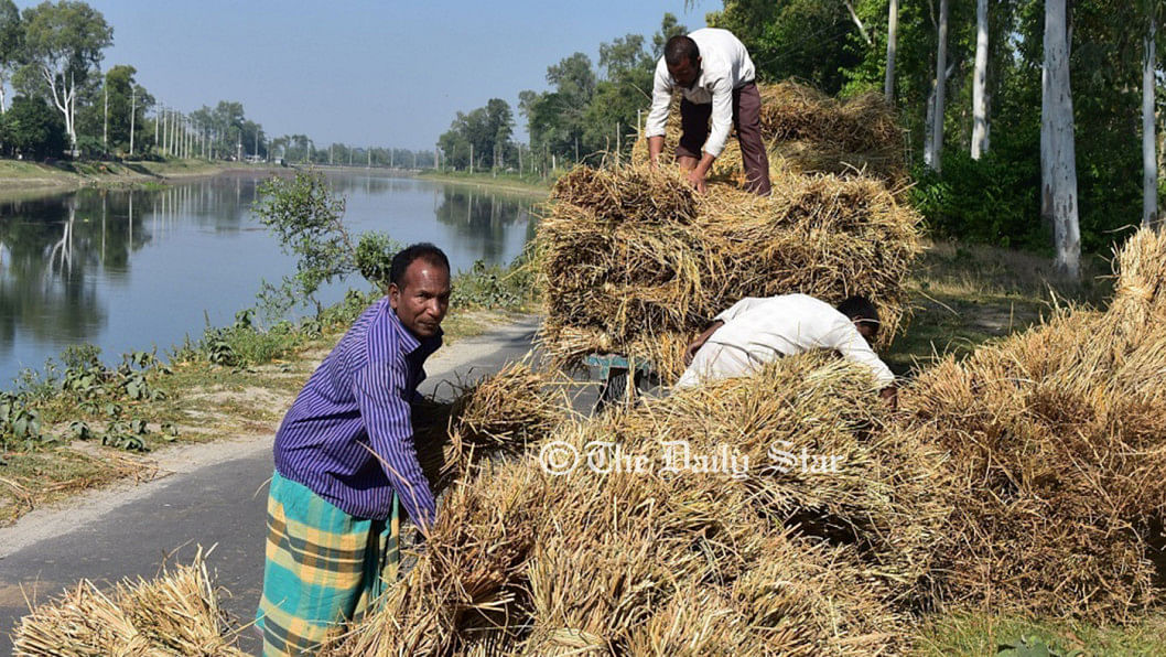 তিস্তা প্রকল্প: আমন সেচে প্রায় ৯৫ কোটি টাকা সাশ্রয় তিস্তা প্রকল্প : আমনচাষিদের প্রায় ৯৫ কোটি টাকা সাশ্রয়