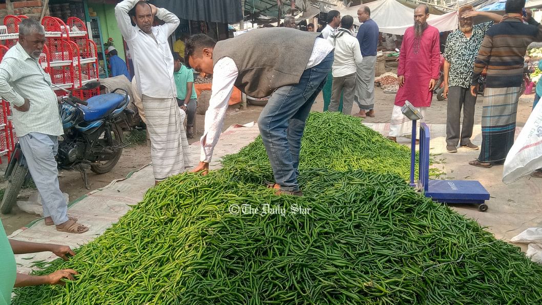 মরিচের বাম্পার ফলনেও চাষির মুখে হাসি নেই মরিচের দাম কম